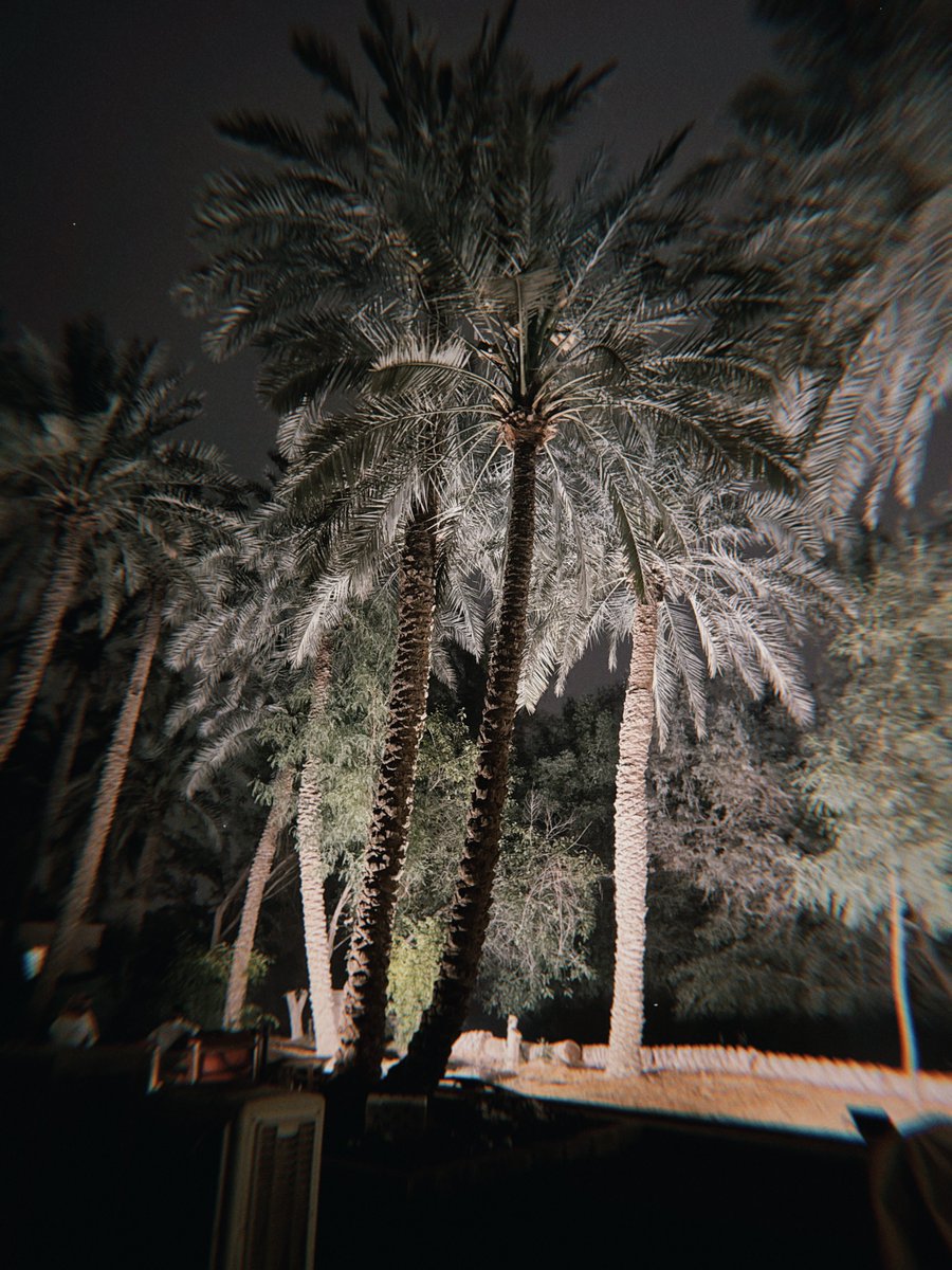 عبدالرّحمٰن tweet media