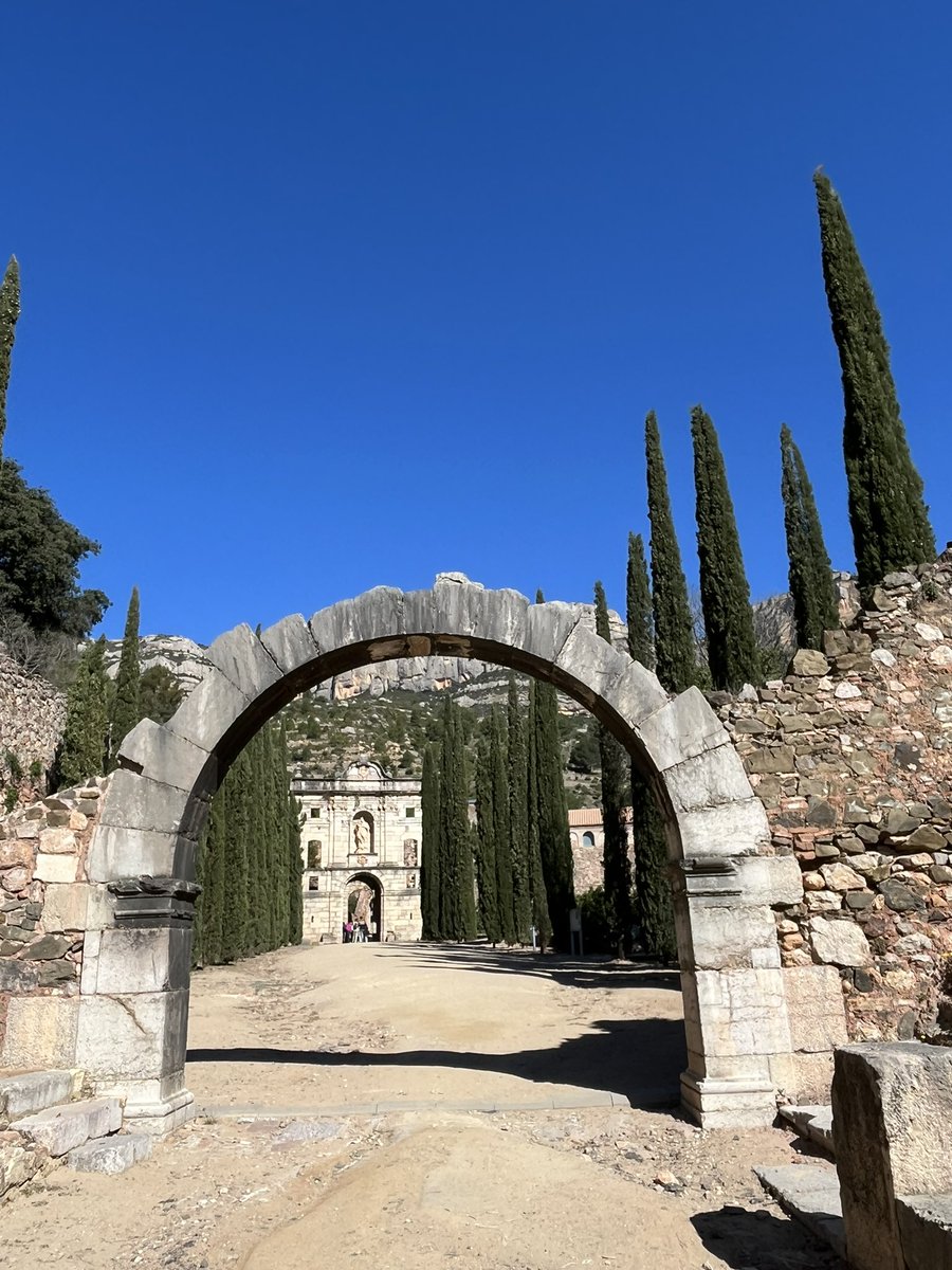 Imma Amadeo tweet media