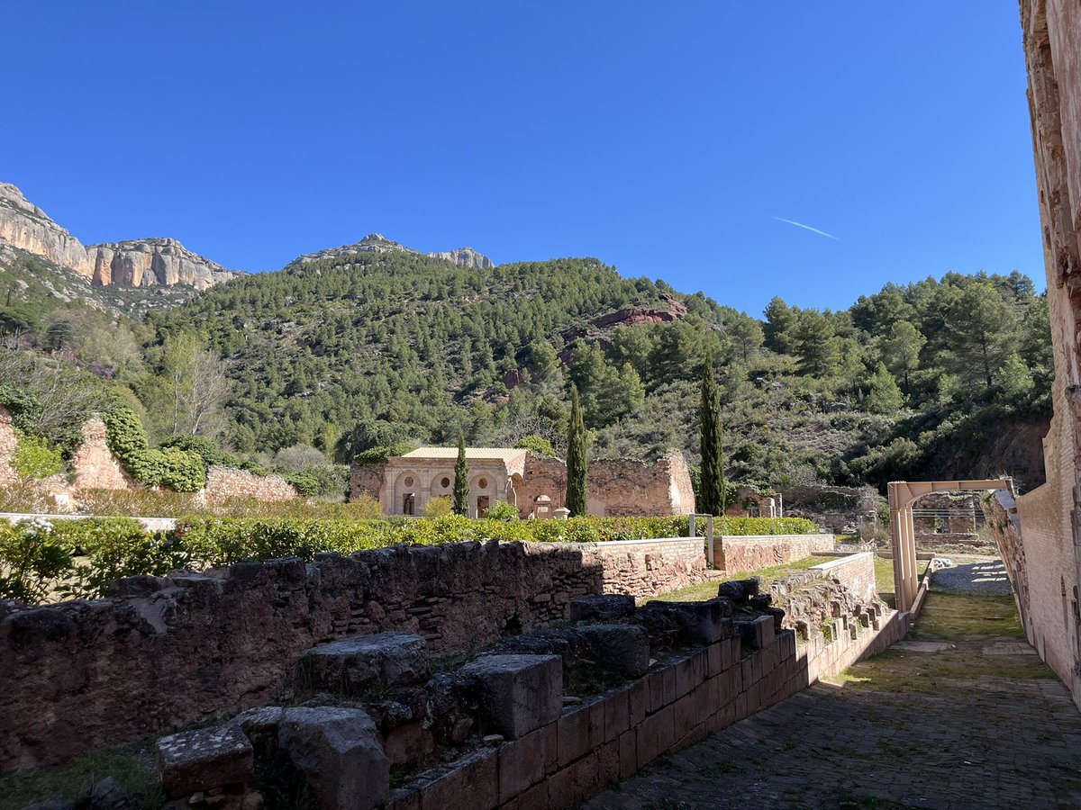 Imma Amadeo tweet media