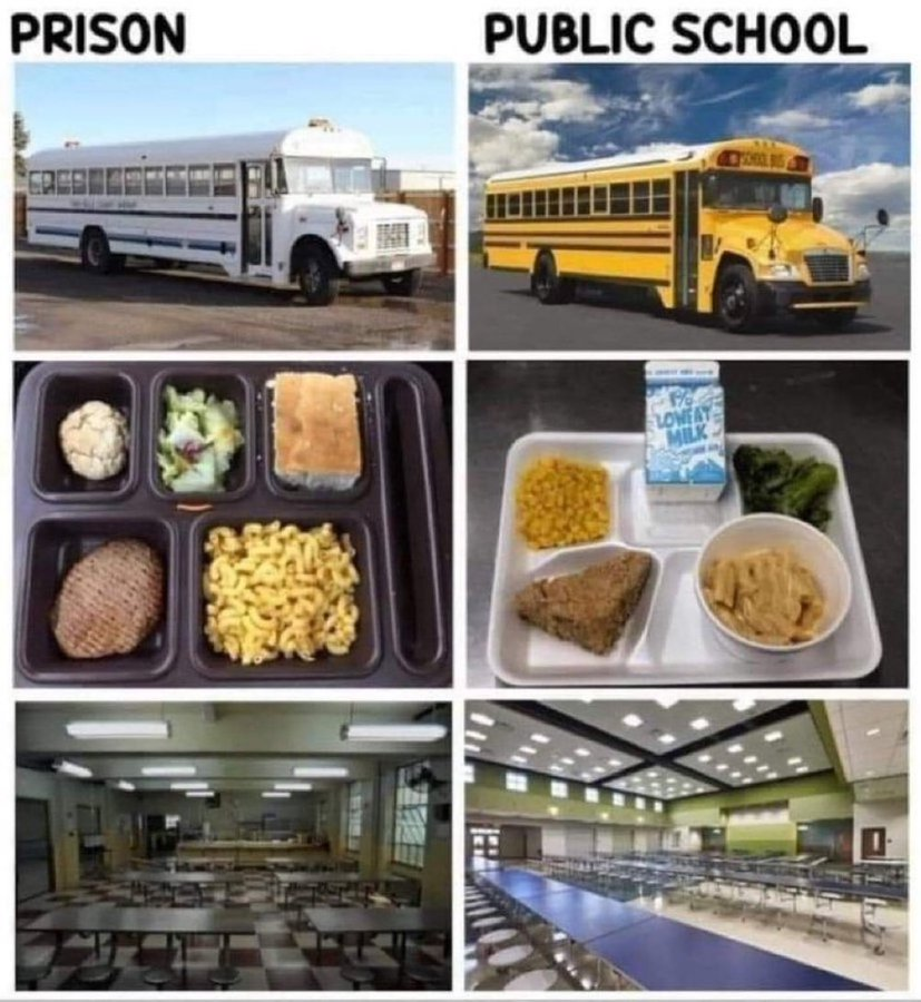 we are destroying children and calling it education