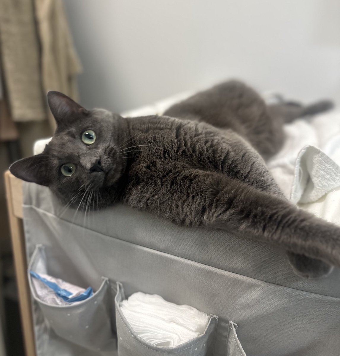 Rebecca Mistereggen tweet media