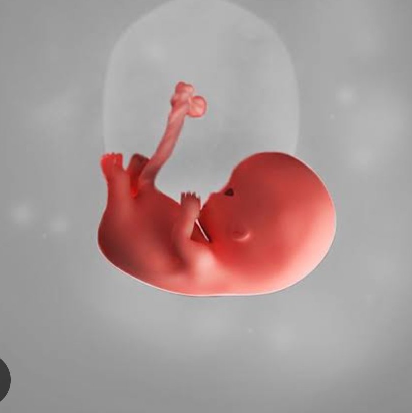 Ruru // they/them tweet media