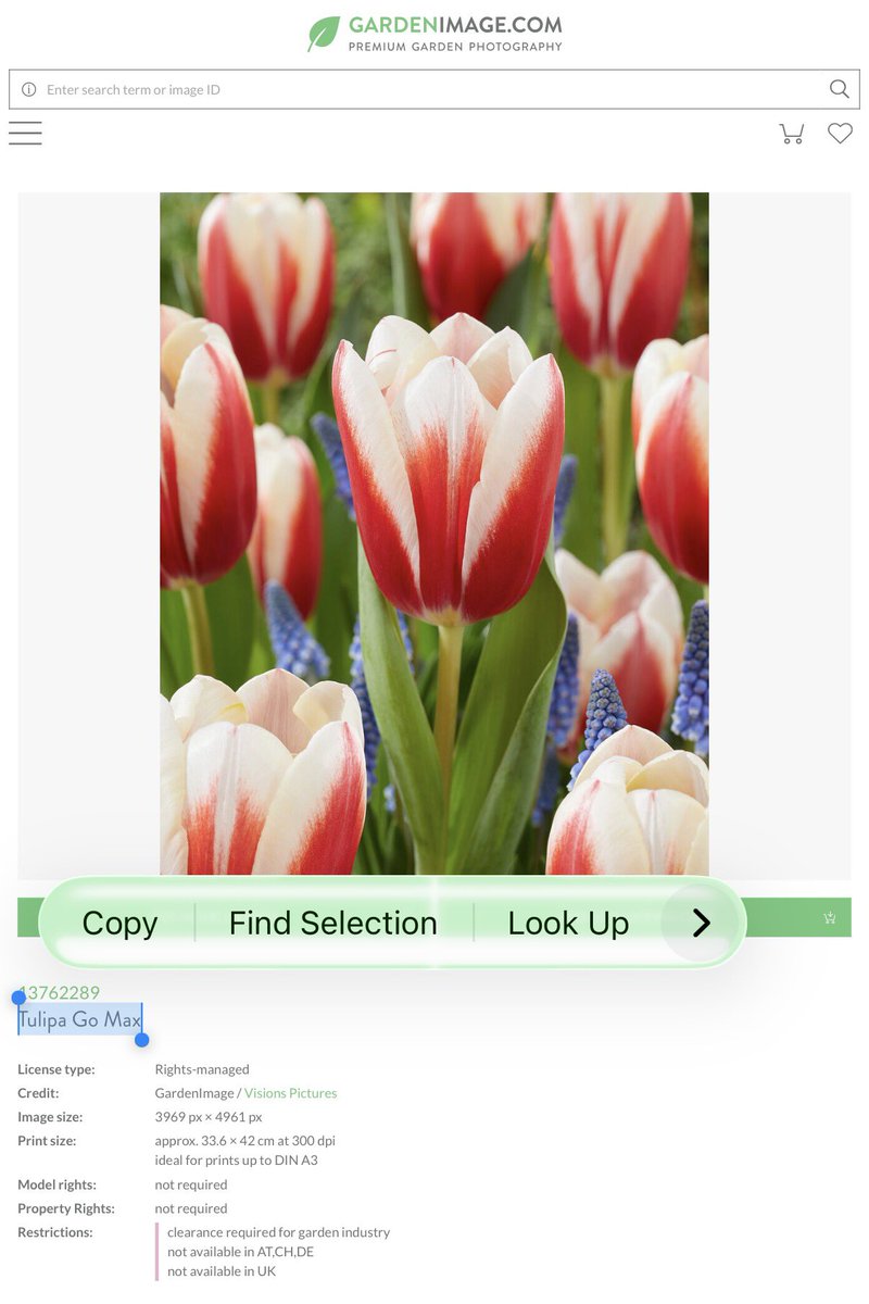 sand😘🫶 tweet media
