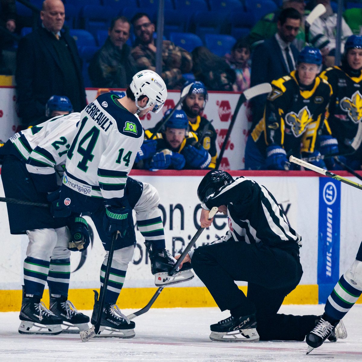 Some technical difficulties in the first…

A Lions player’s stick decided to take a ride with Perreault 😂