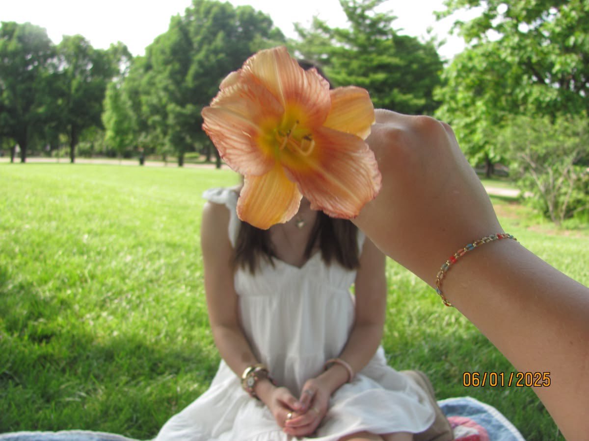 p˚୨୧⋆｡🐈˚ ⋆ tweet media