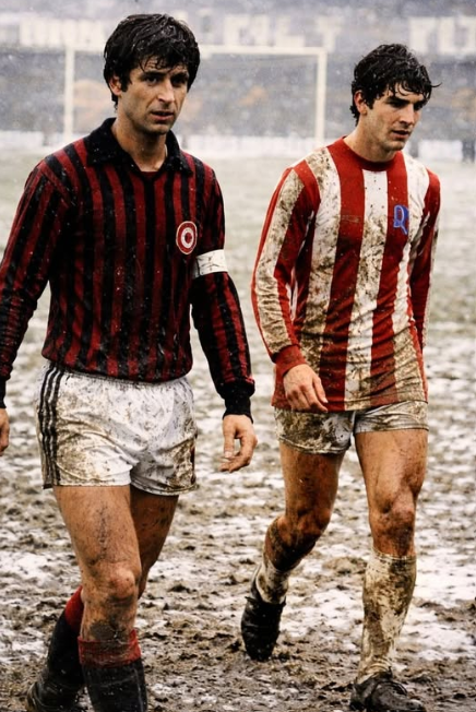 Frenkie_Woody tweet media