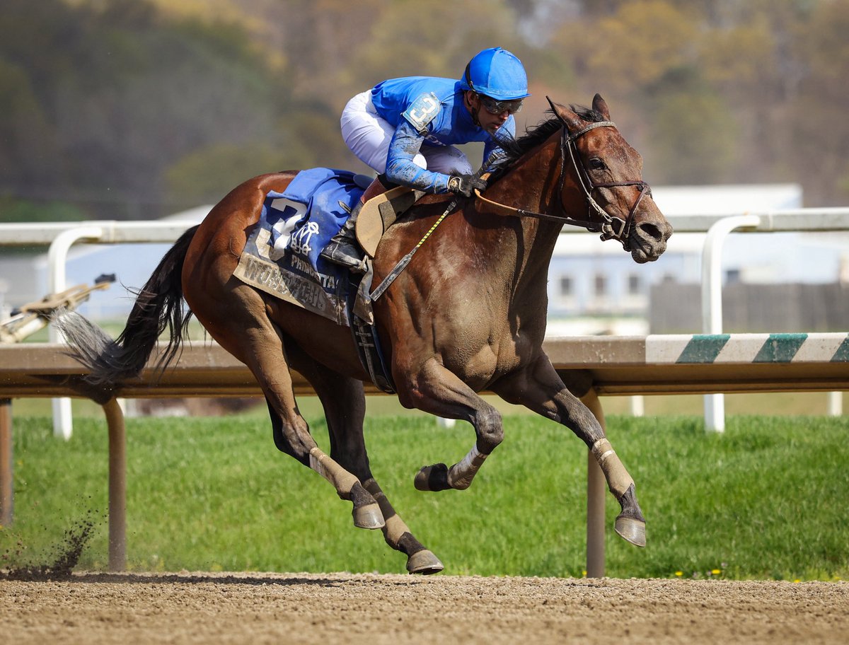 The Maryland Jockey Club, Inc. tweet media