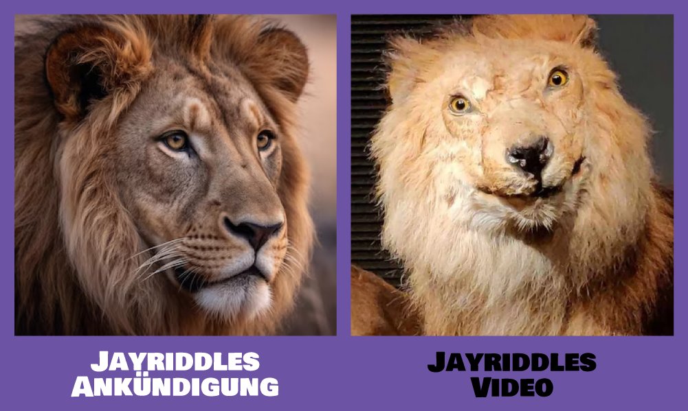 Montes Erben tweet media