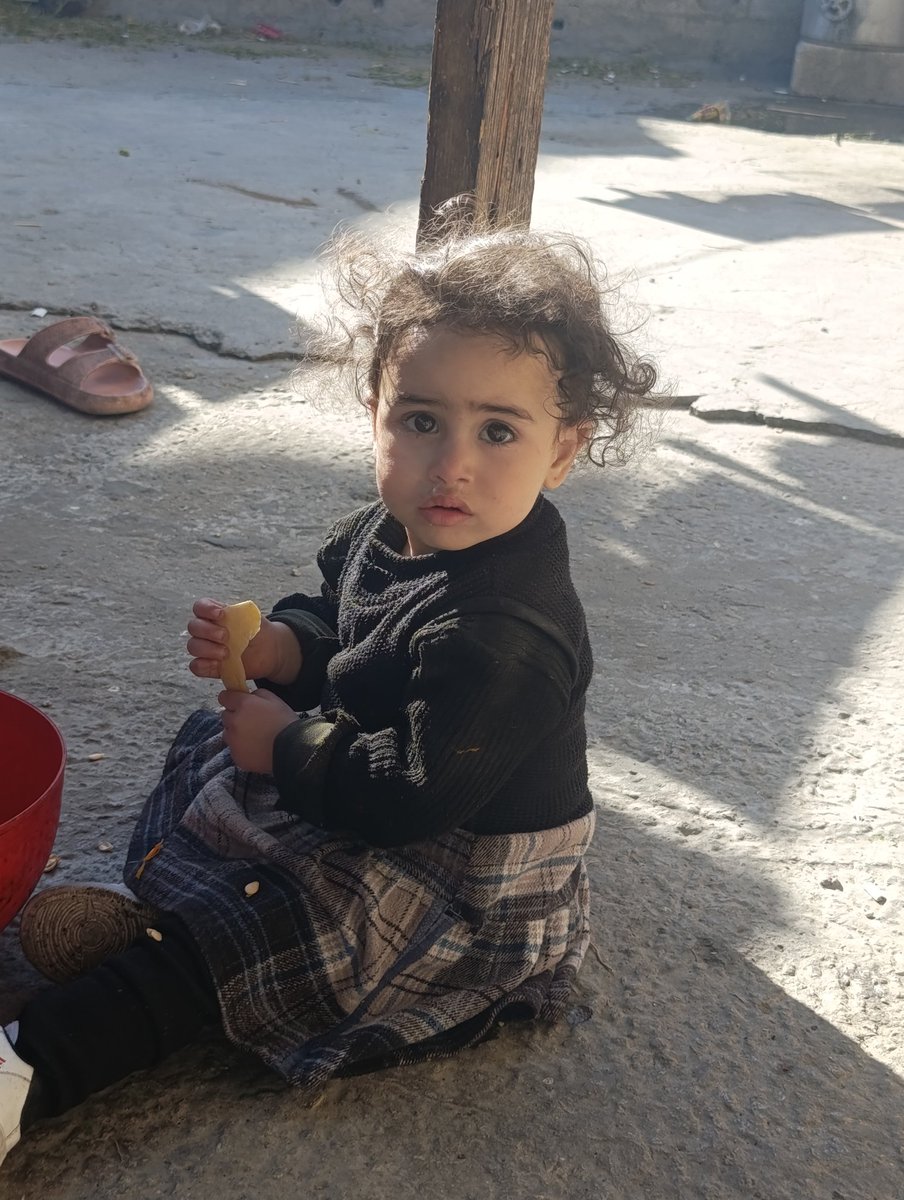 WAFAA 🇵🇸 tweet media