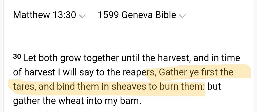 LightintheFog83 tweet media