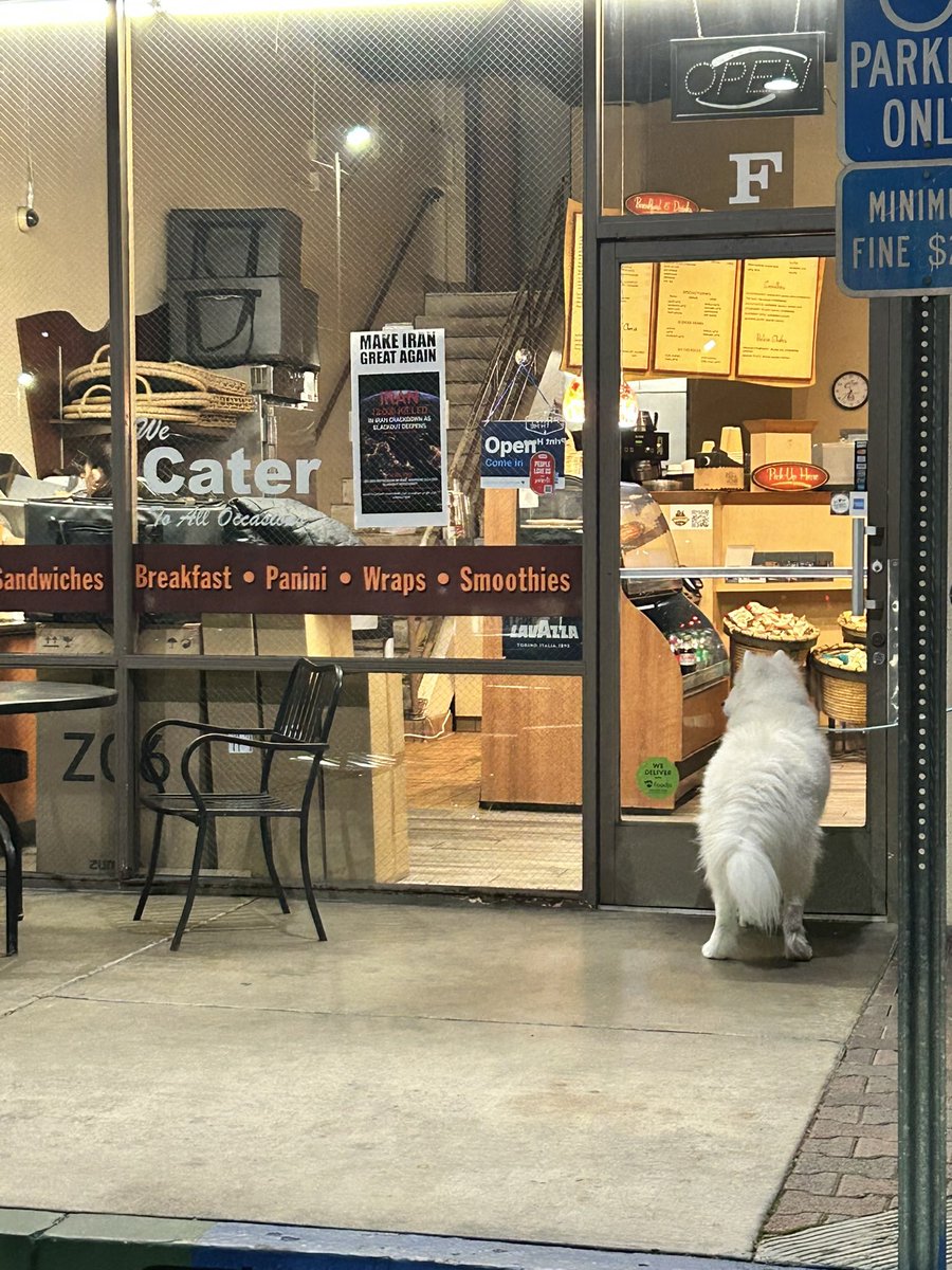 berrietea's tweet photo. let him in https://t.co/8Mc6JfzNwY