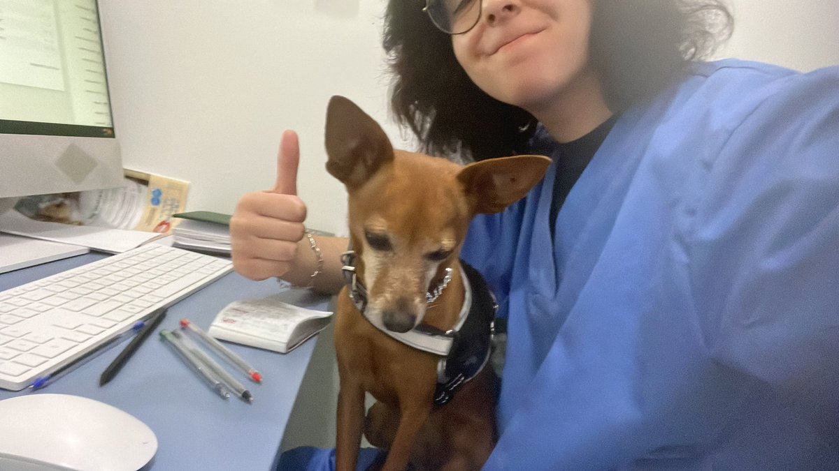 monteirex 🦐 tweet media