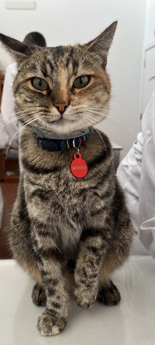 monteirex 🦐 tweet media