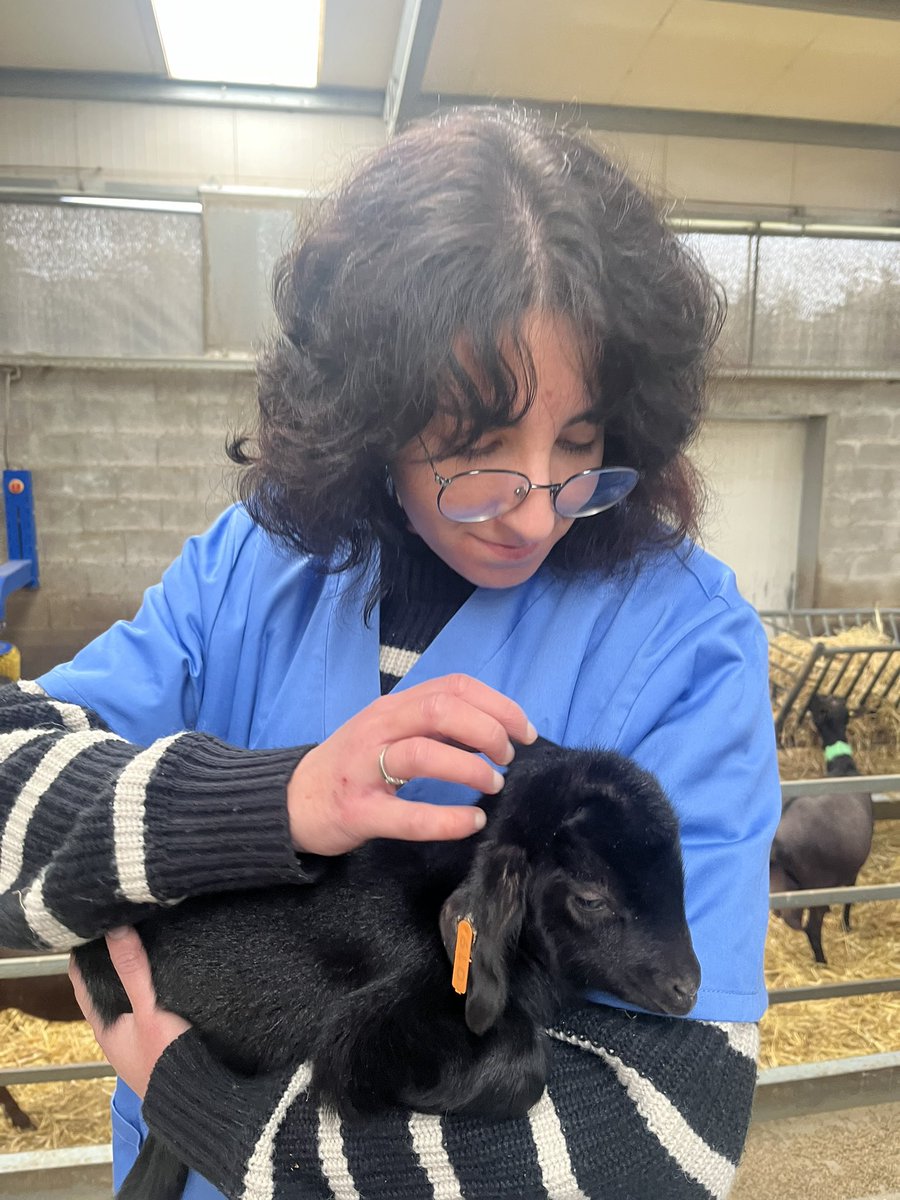 monteirex 🦐 tweet media