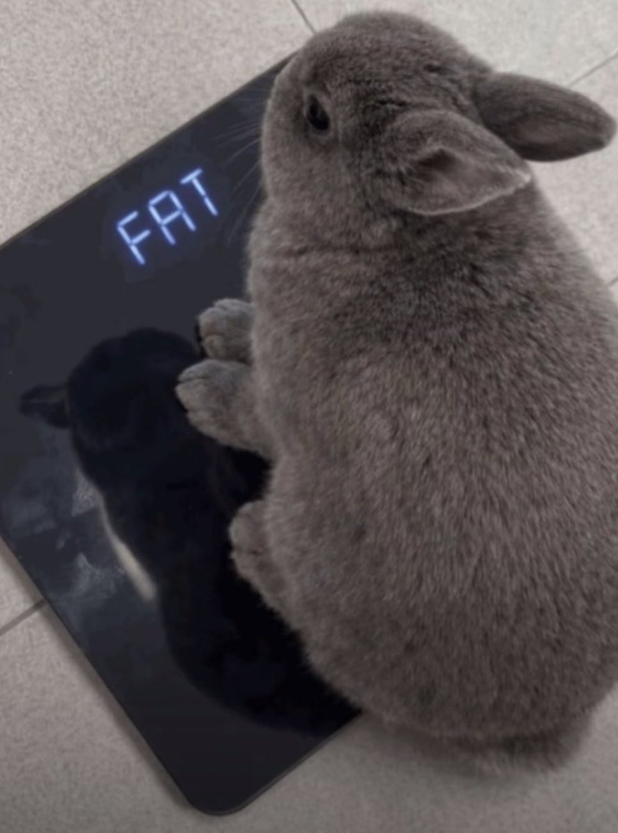 CrabsAreExpensive tweet media