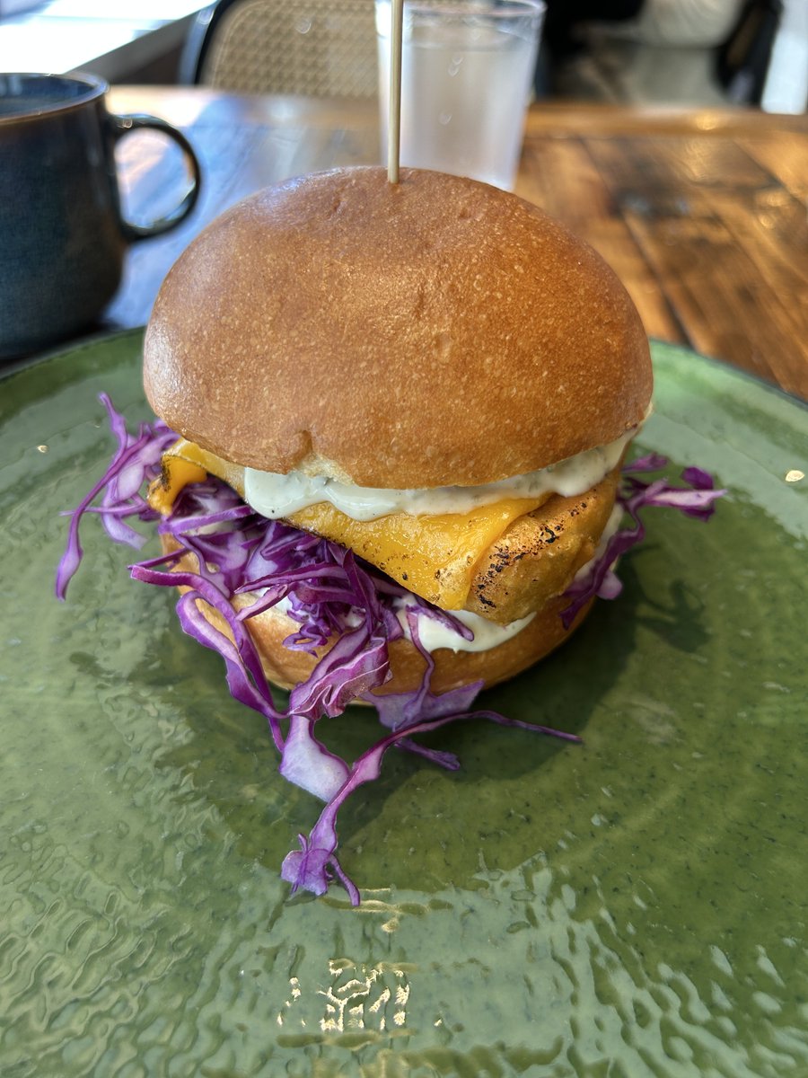 Tamara Cassidy, Vegan, Animal Liberation Activist tweet media