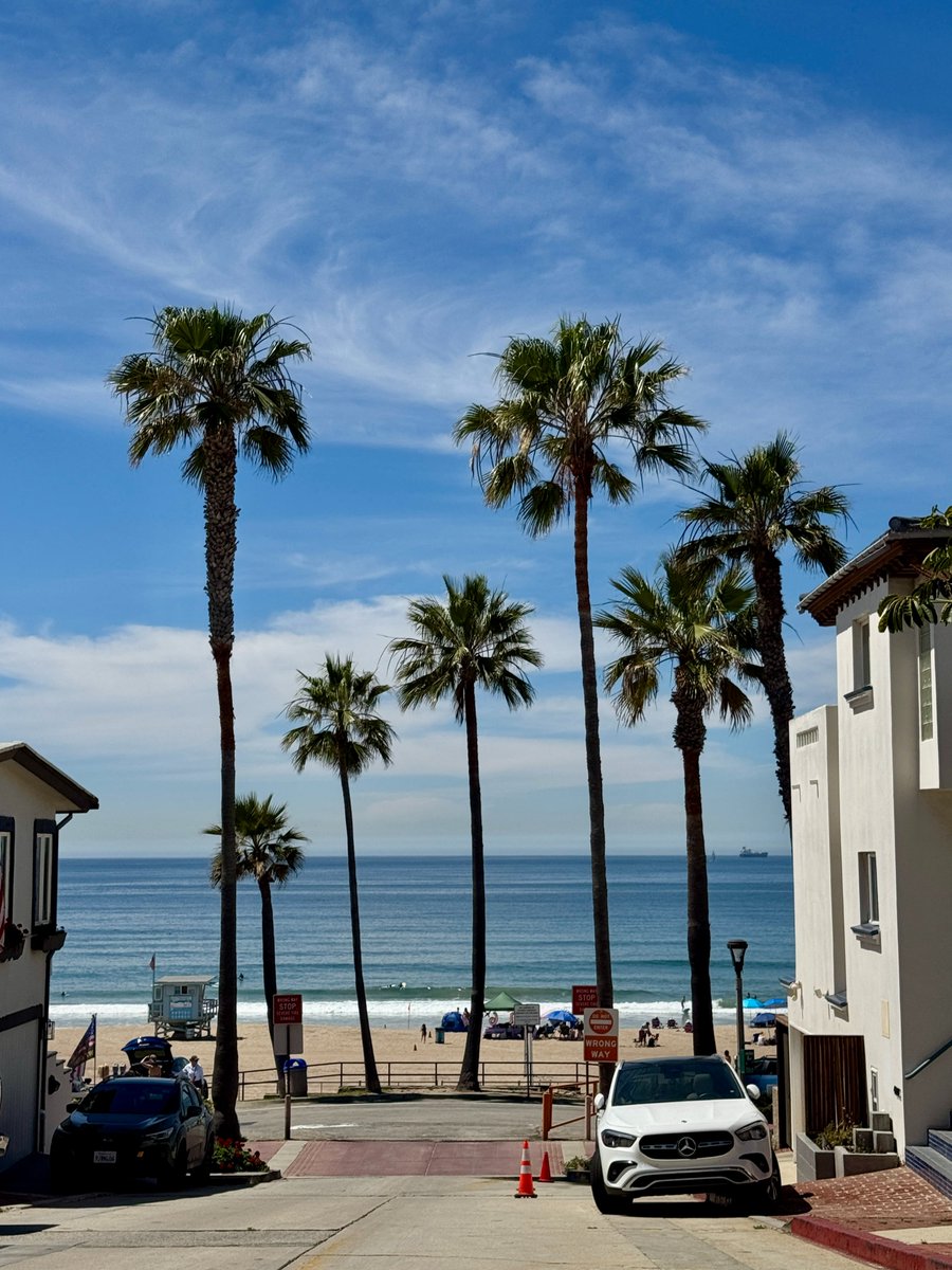 Shae Roberts 🌊 tweet media