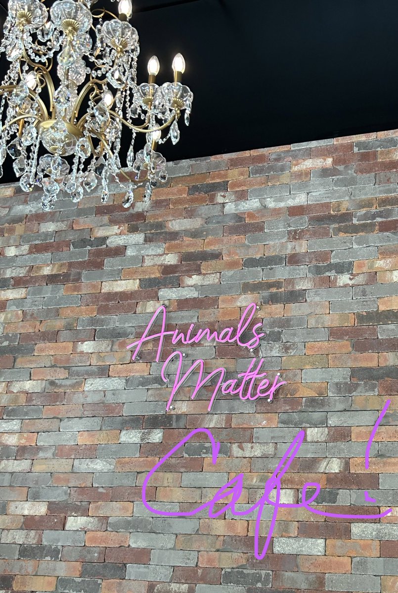 Tamara Cassidy, Vegan, Animal Liberation Activist tweet media