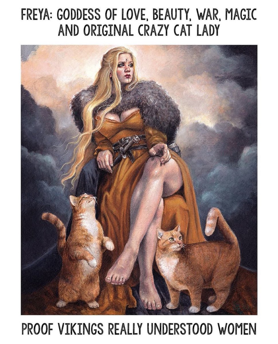 Fissteque tweet media