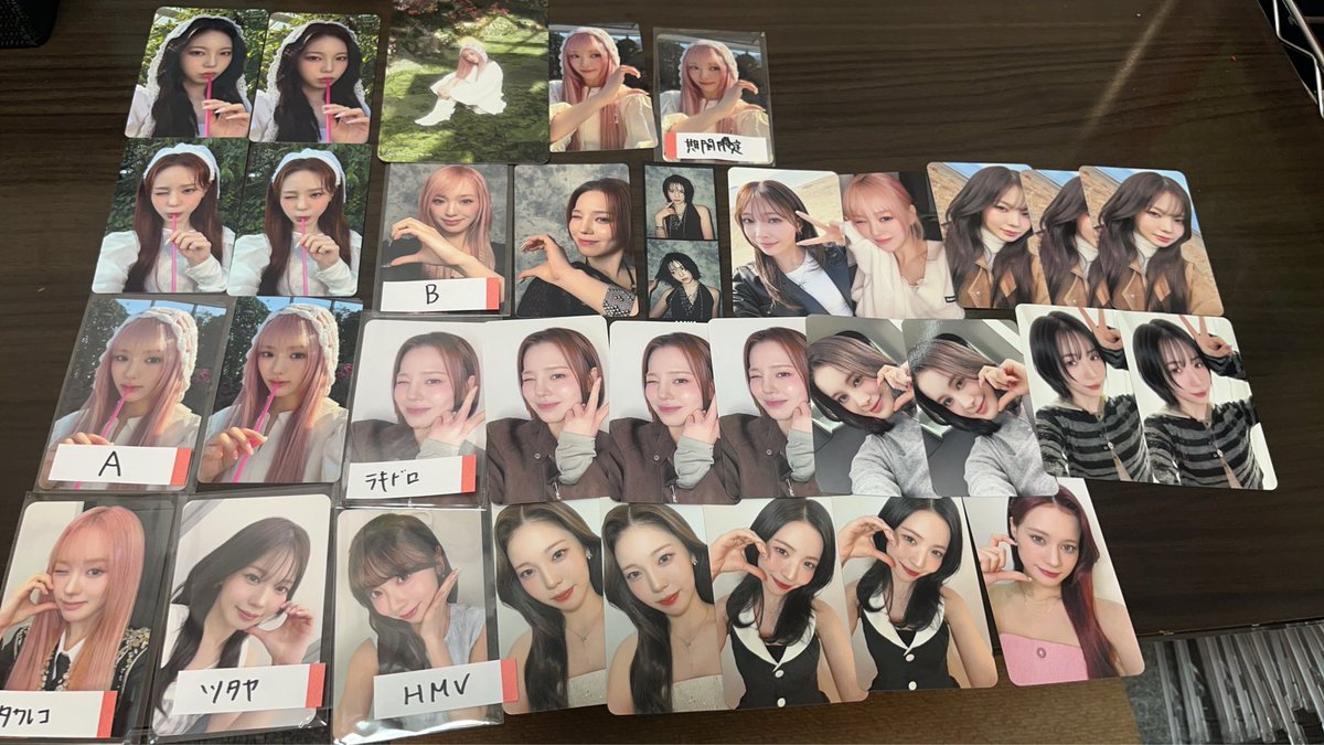 ばるたん（はるたん）🐶🦥 tweet media