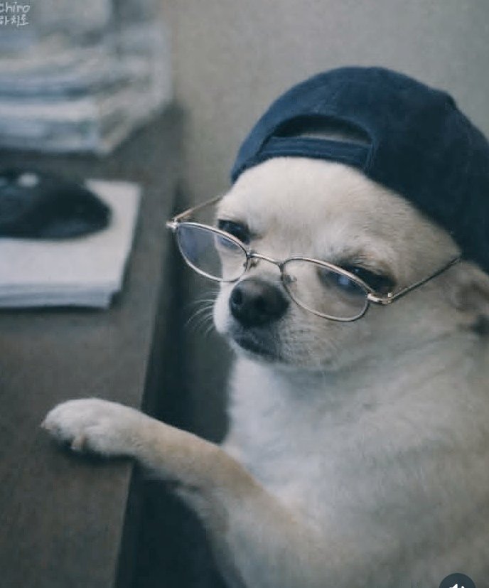 Lilepo friend tweet media