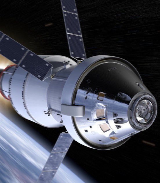 Mr.Wolf 🐺🎋 tweet media