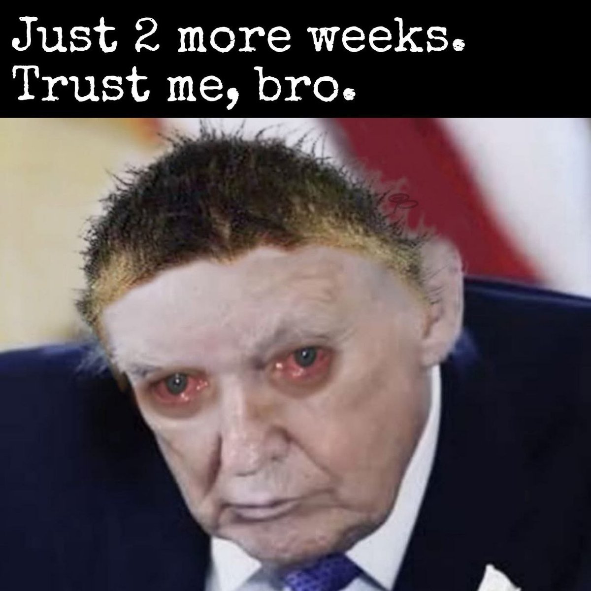 Thibos🍯 tweet media