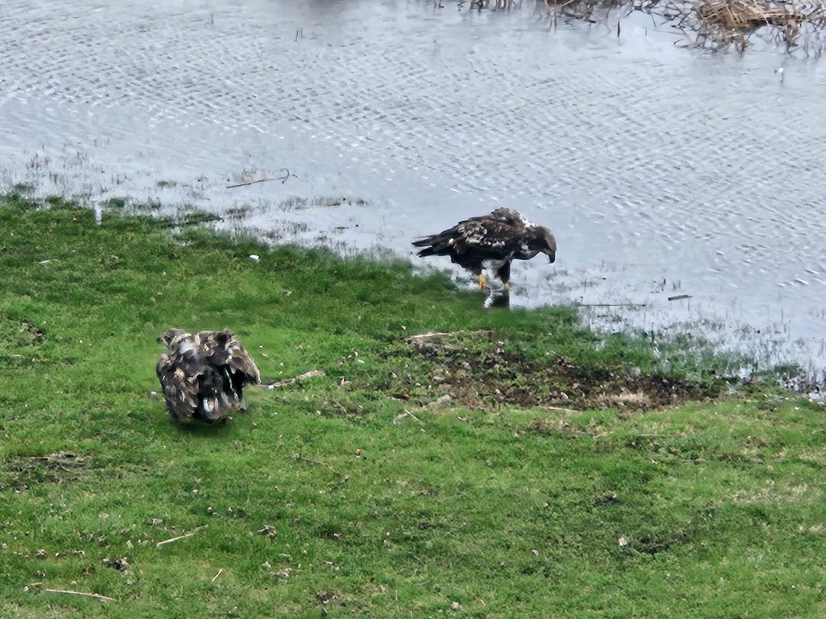 Aimoperative tweet media