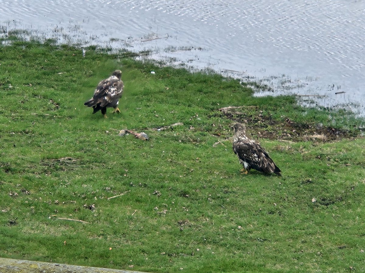 Aimoperative tweet media