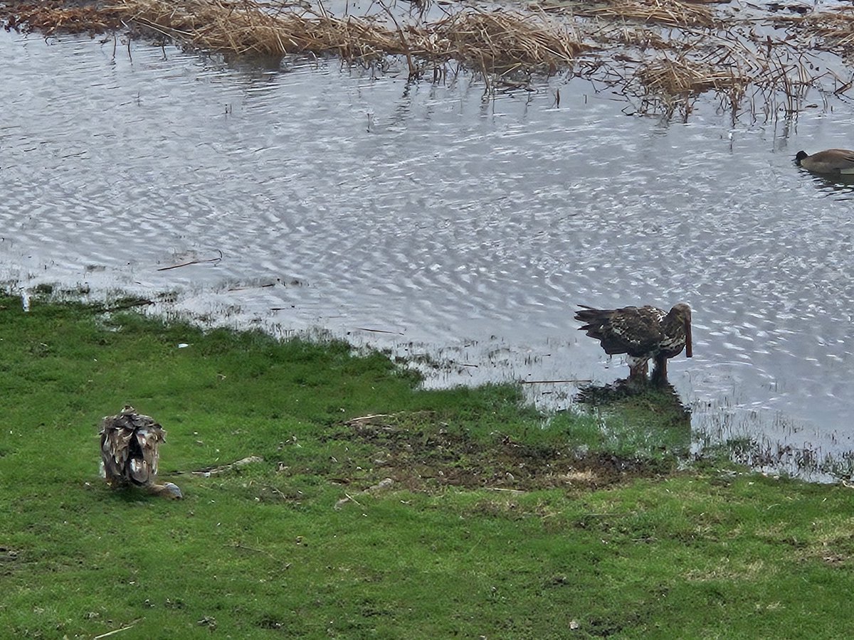 Aimoperative tweet media