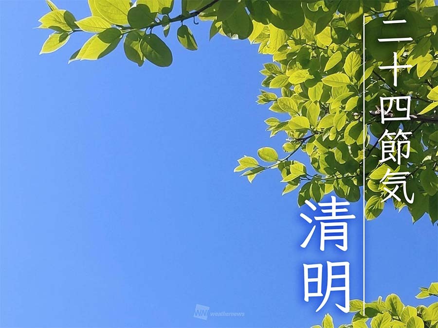 ウェザーニュース tweet media