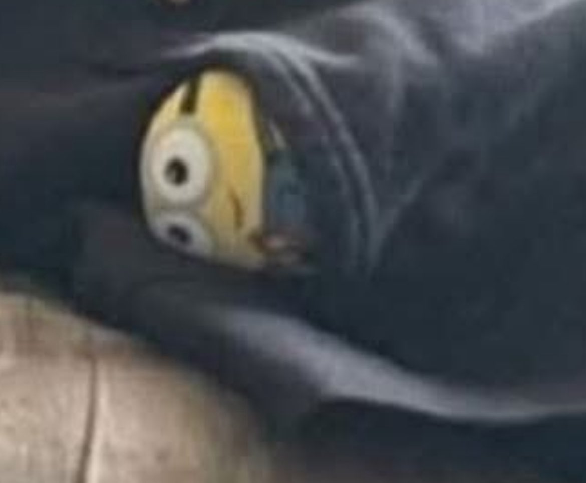 DC Arnett tweet media