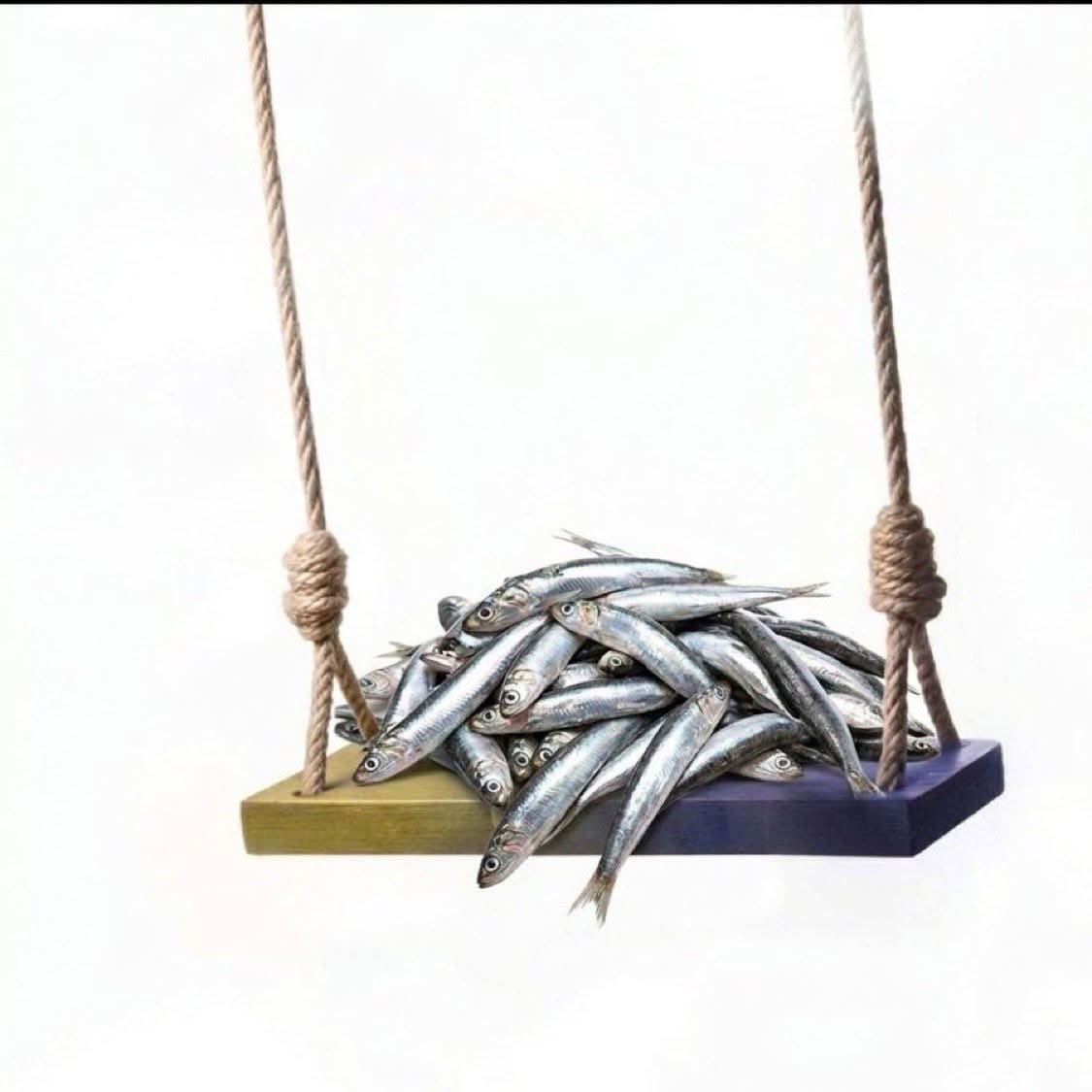 Sarıyerli tweet media