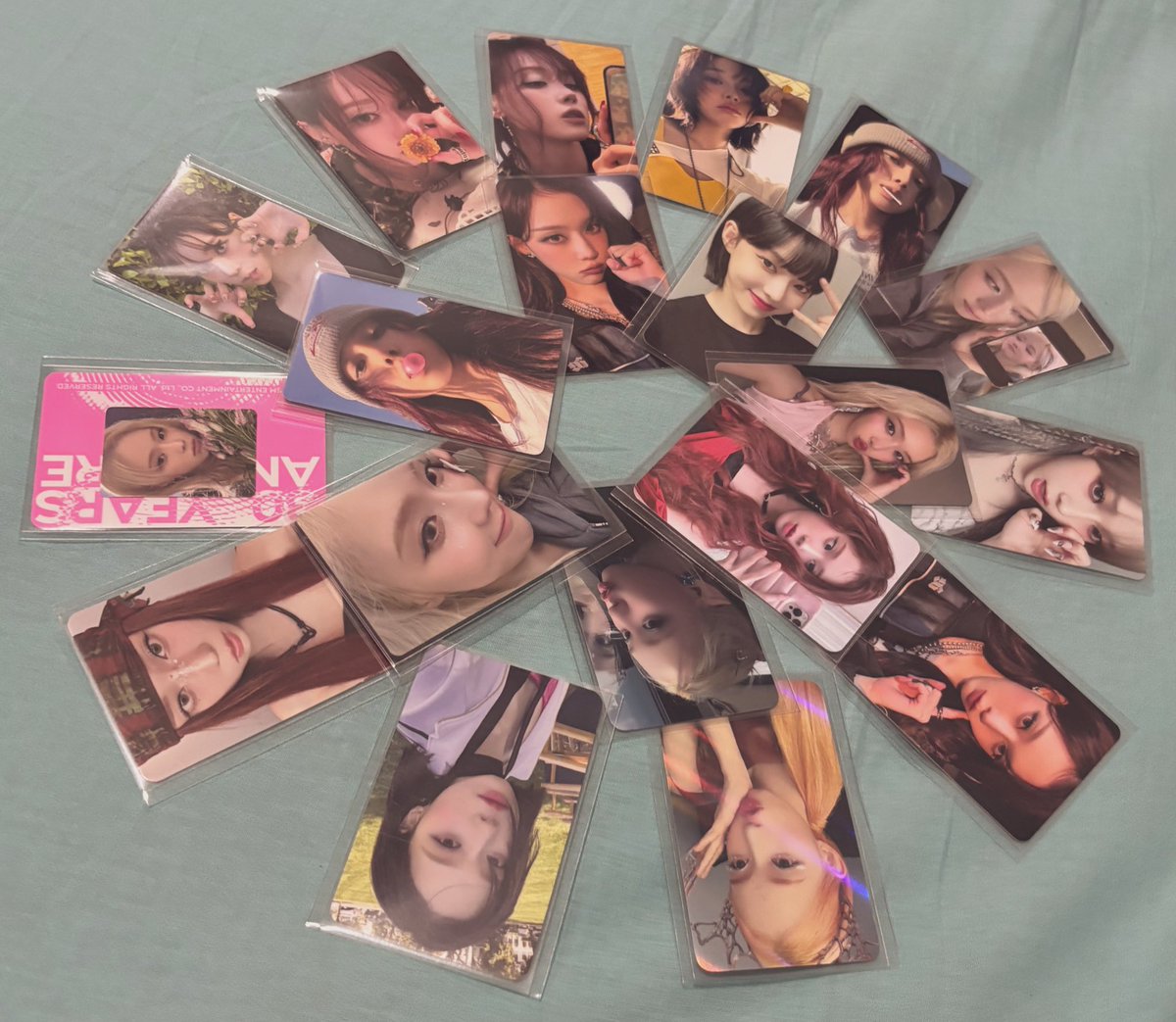 frosies⭐️ tweet media