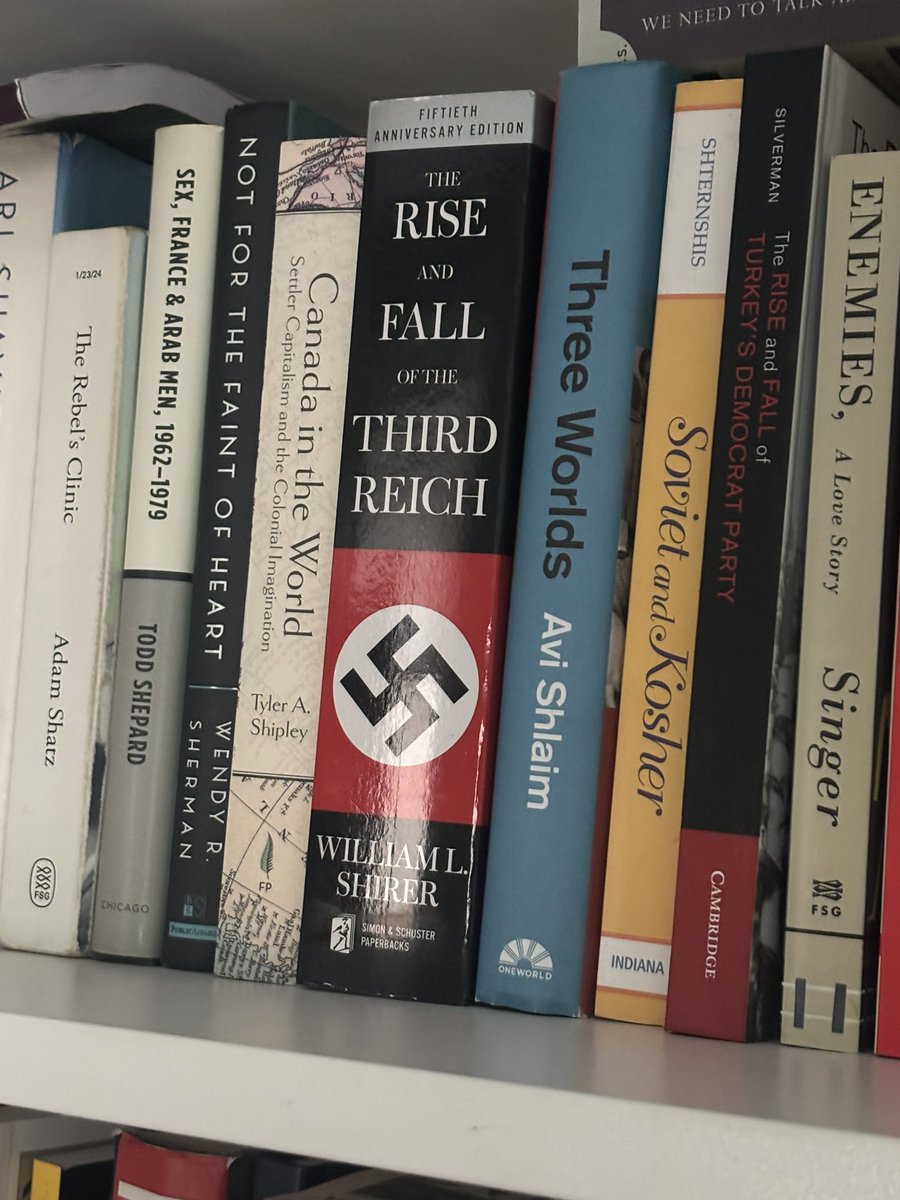 Arash Azizi آرش عزیزی tweet media