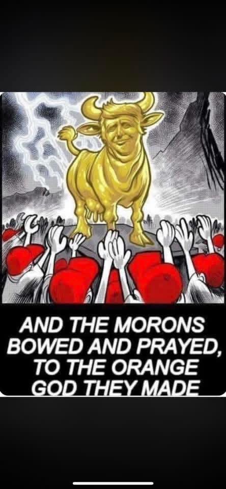 mouaad31🇵🇸☪️⚔️ tweet media