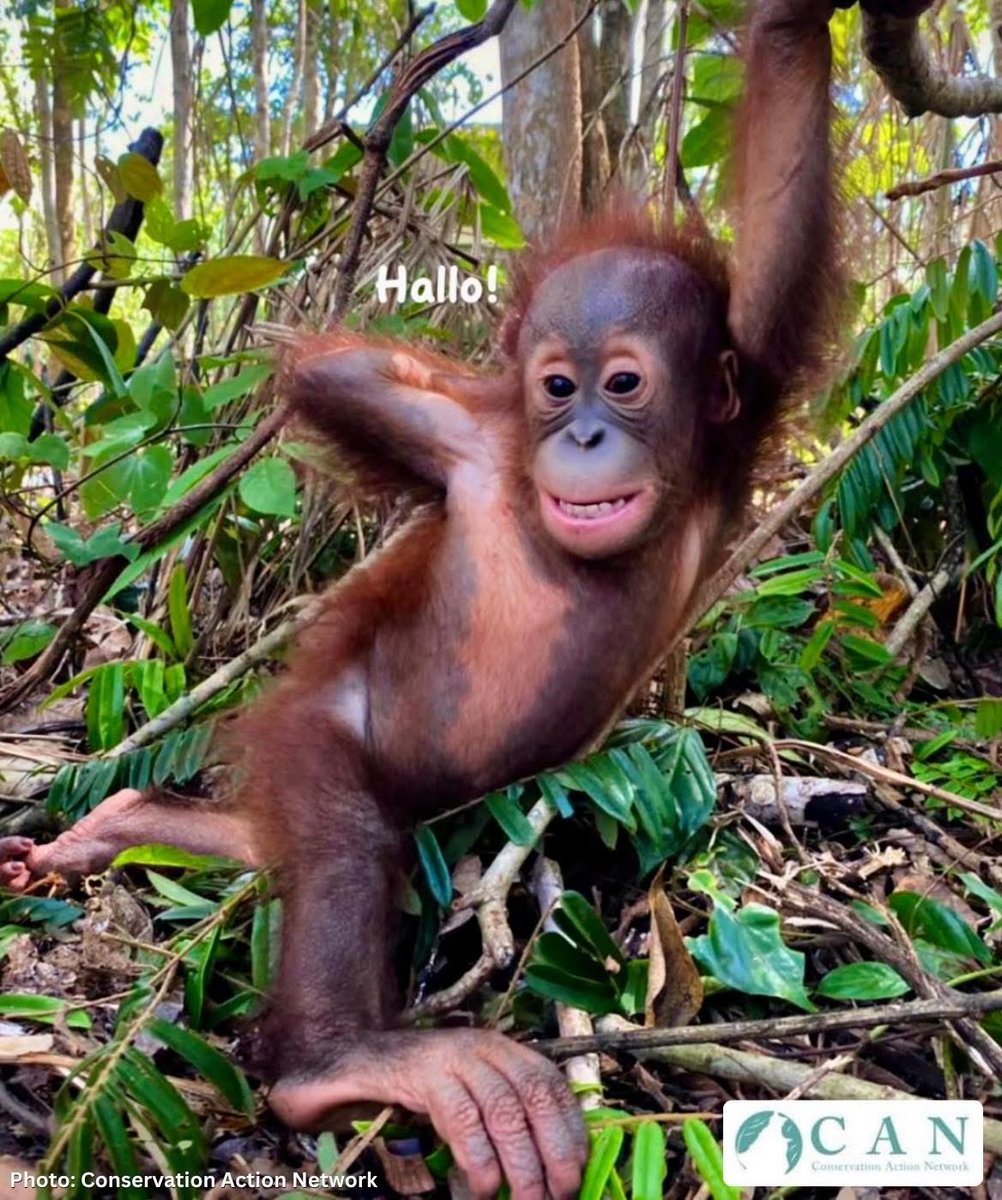 🧸 LAUREN 🧸 tweet media