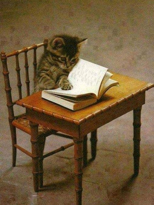 HLT Quality tweet media