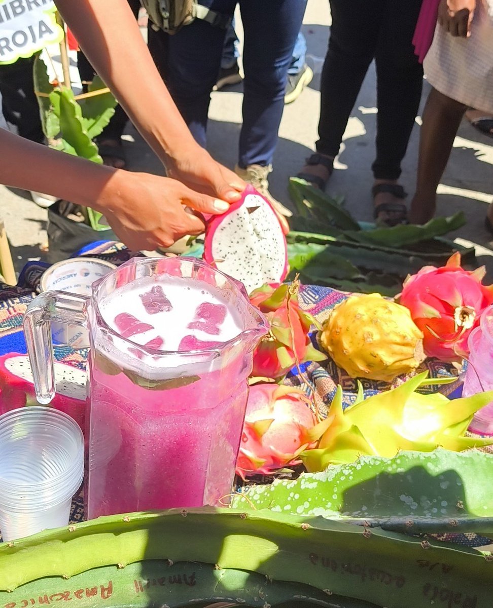 Evo Morales Ayma tweet media