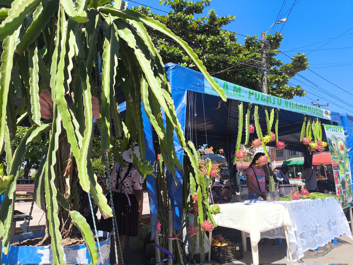 Evo Morales Ayma tweet media