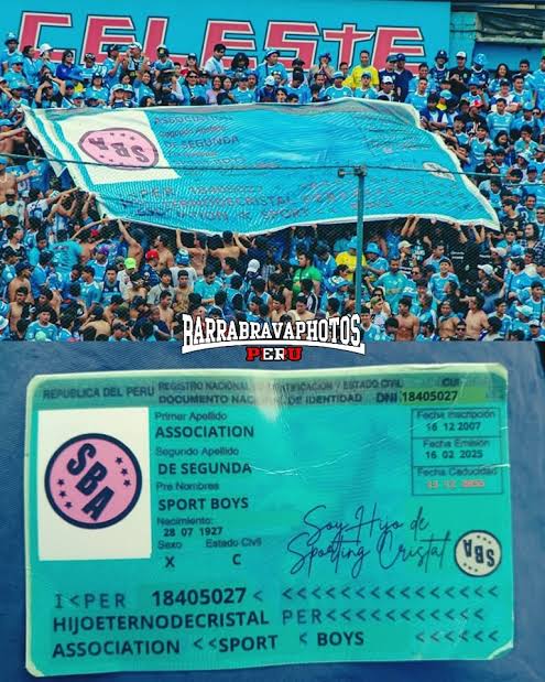 THC Perú tweet media