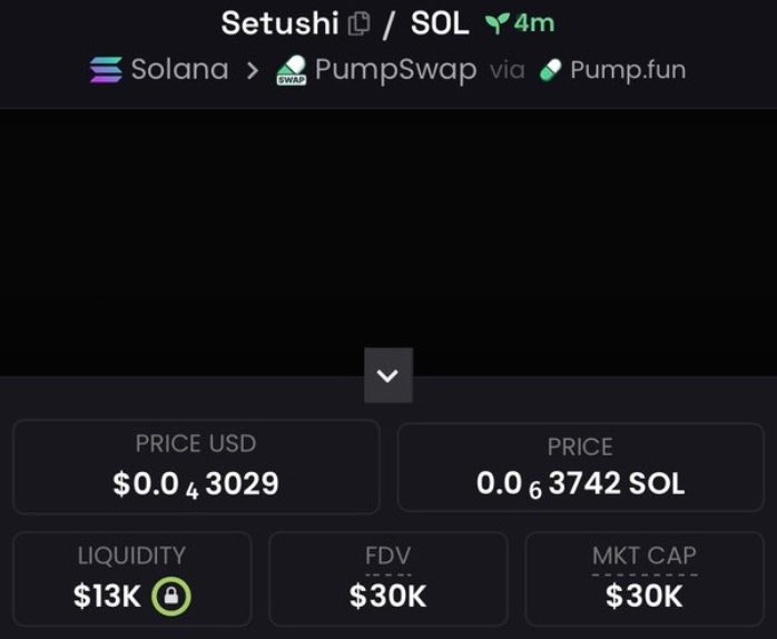 SolanaPrincess tweet media