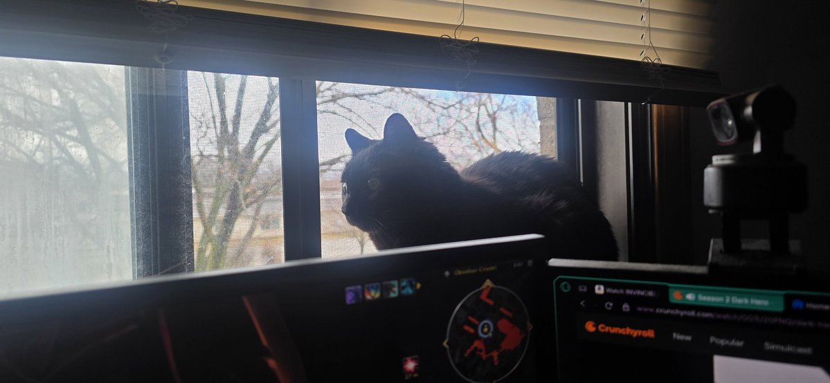 Robin ᕱ ᕱ HOYO ENJOYER tweet media