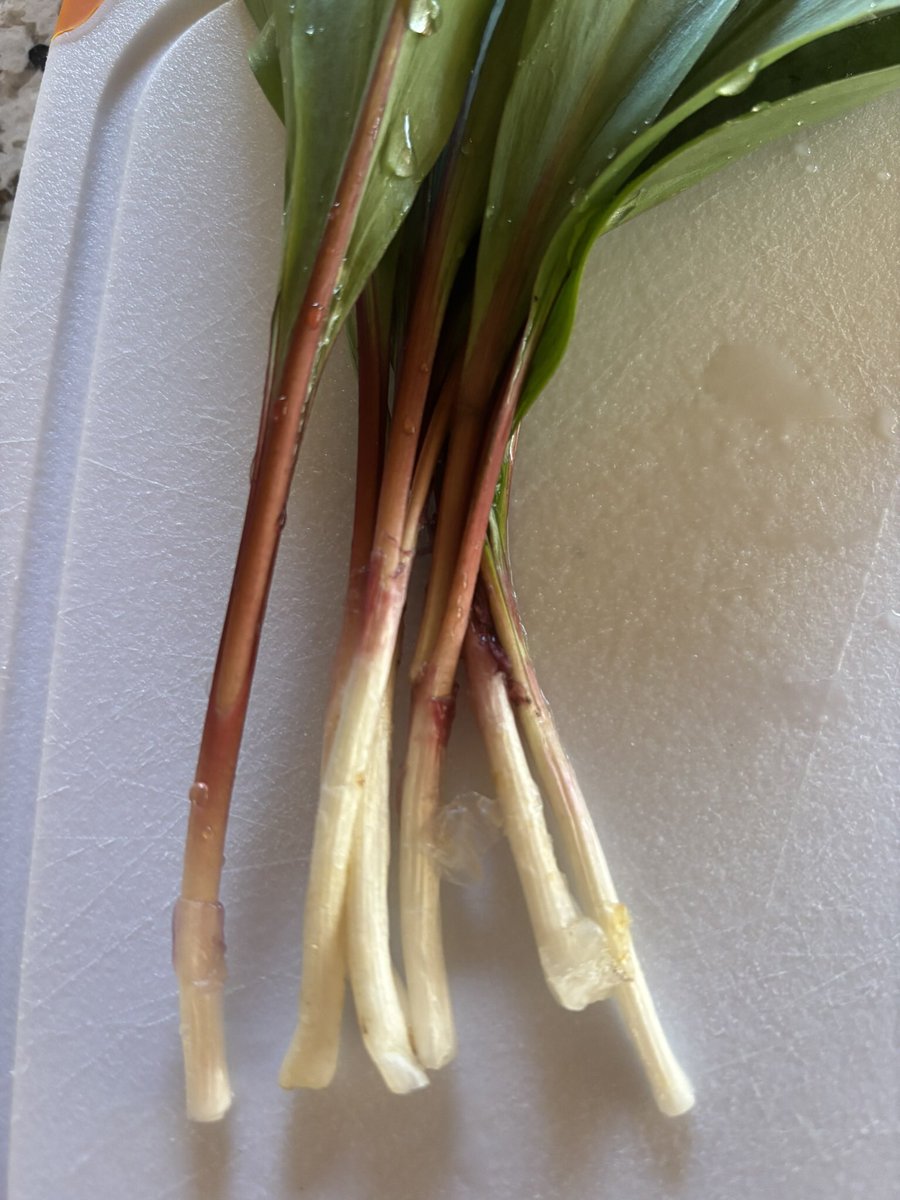 Nanie’s daughter tweet media