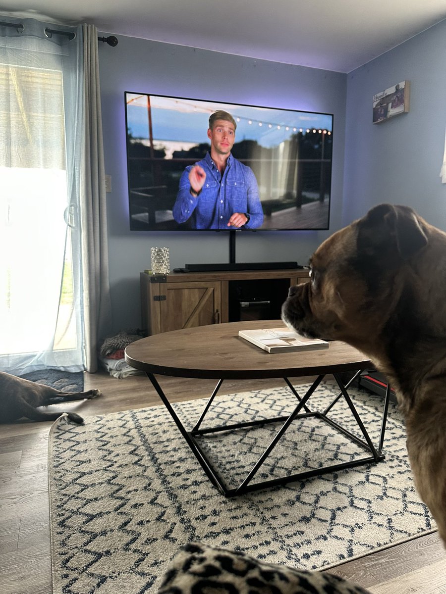 Leopard&Louboutins tweet media