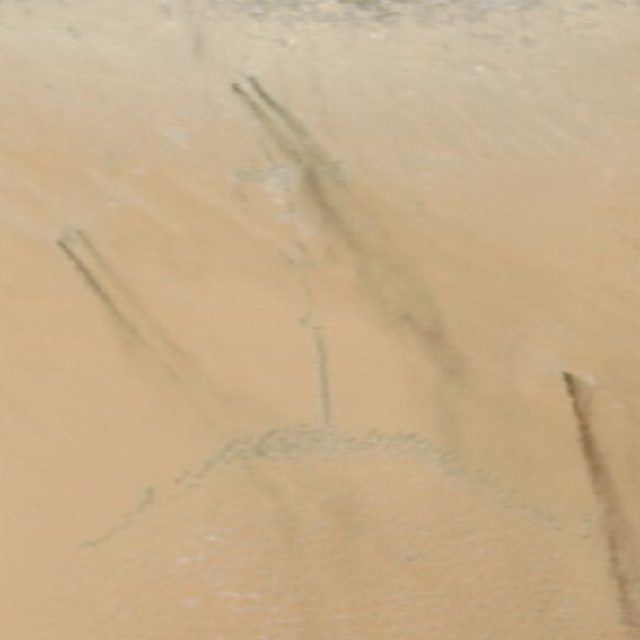 Babak Taghvaee - The Crisis Watch tweet media