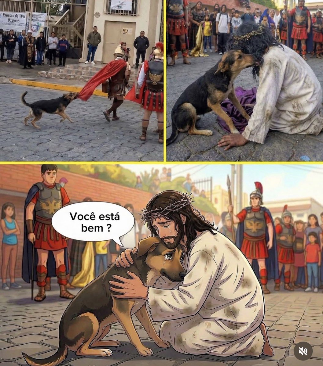 Virgínia Duailibe tweet media