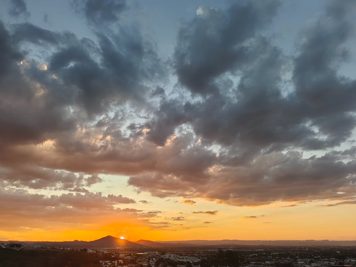 it's by deesign tweet media