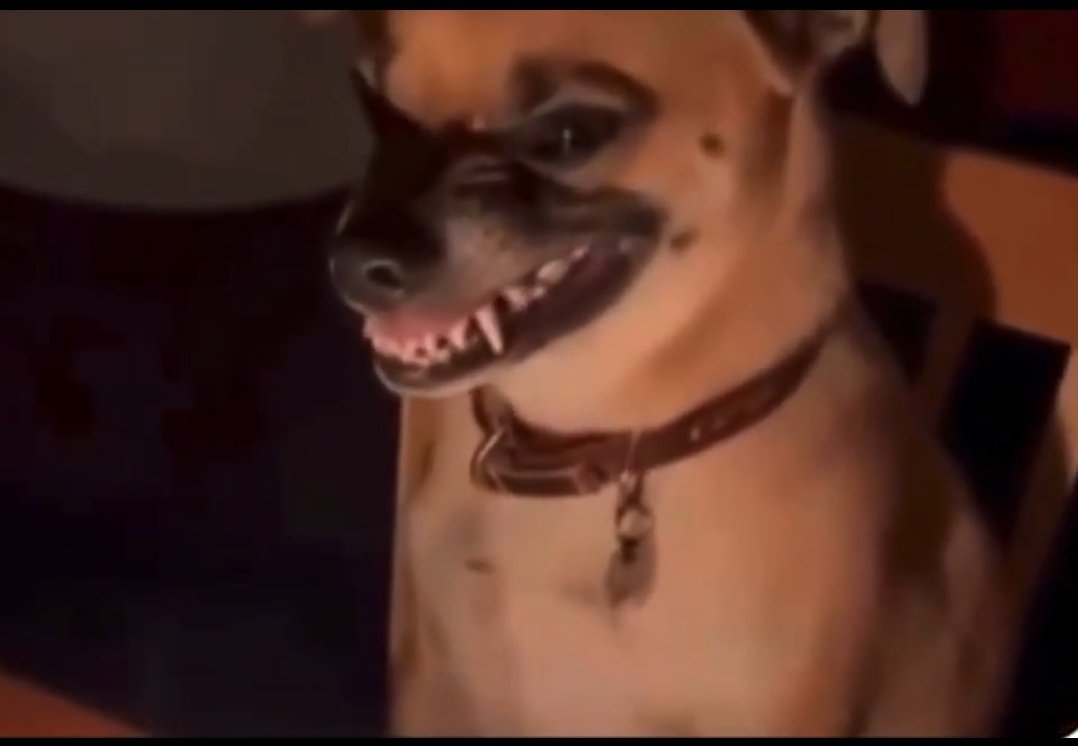 Dawood🇰🇪🇸🇦 tweet media