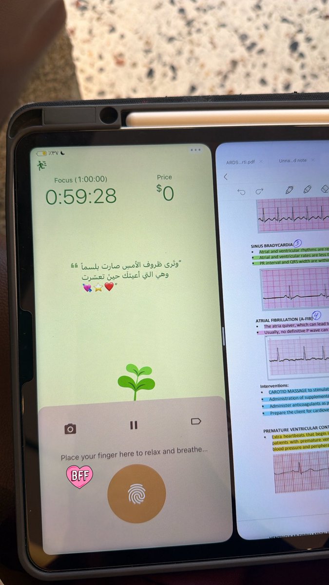 Dodi ☆ tweet media